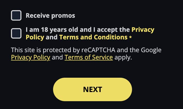 Accept the terms and conditions